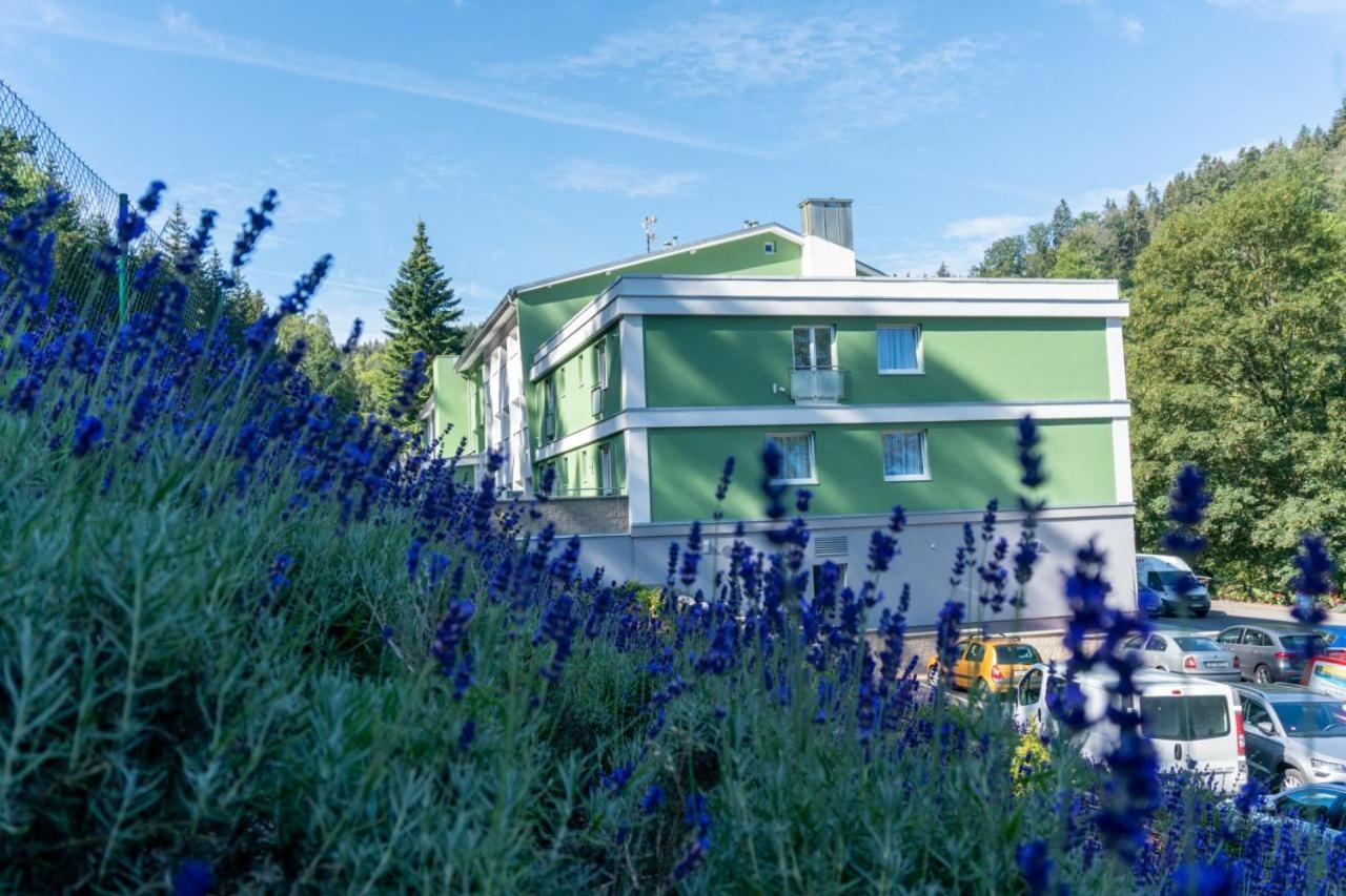 Pirkenhammer Wellness Hotel Green Paradise מראה חיצוני תמונה