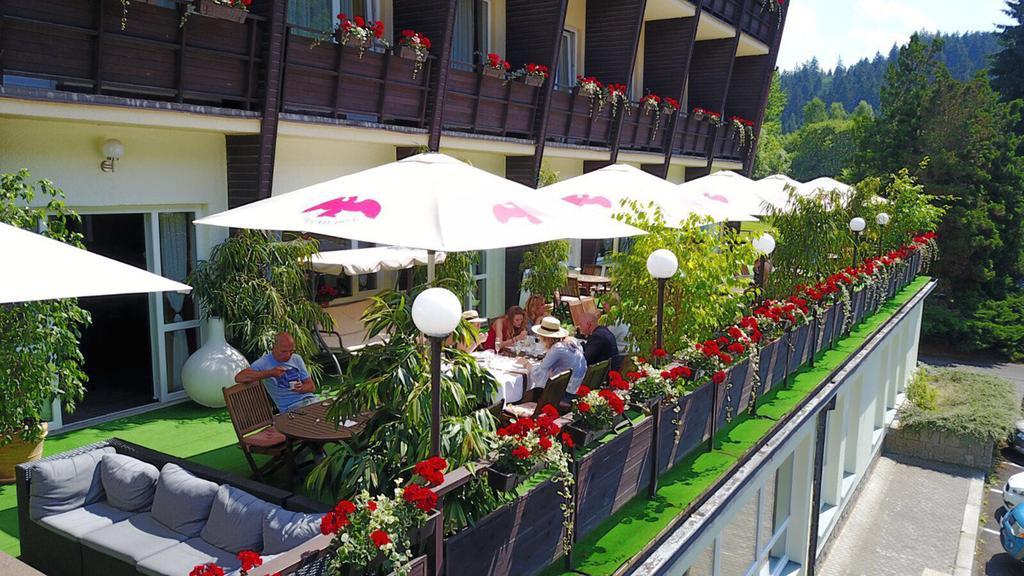 Pirkenhammer Wellness Hotel Green Paradise מראה חיצוני תמונה